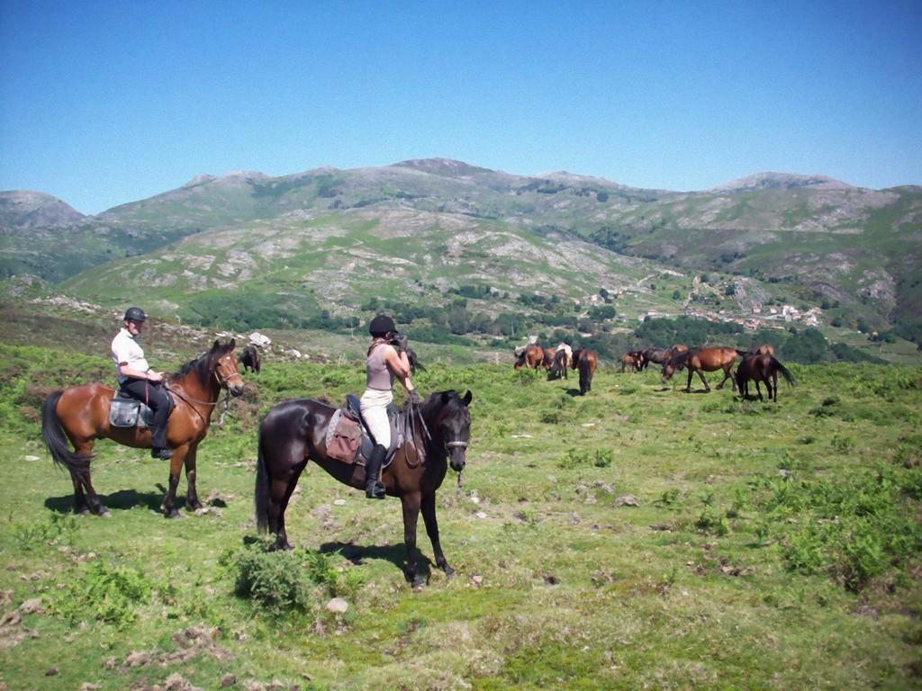 Casa Da Avo Βίλα Arcos de Valdevez Εξωτερικό φωτογραφία