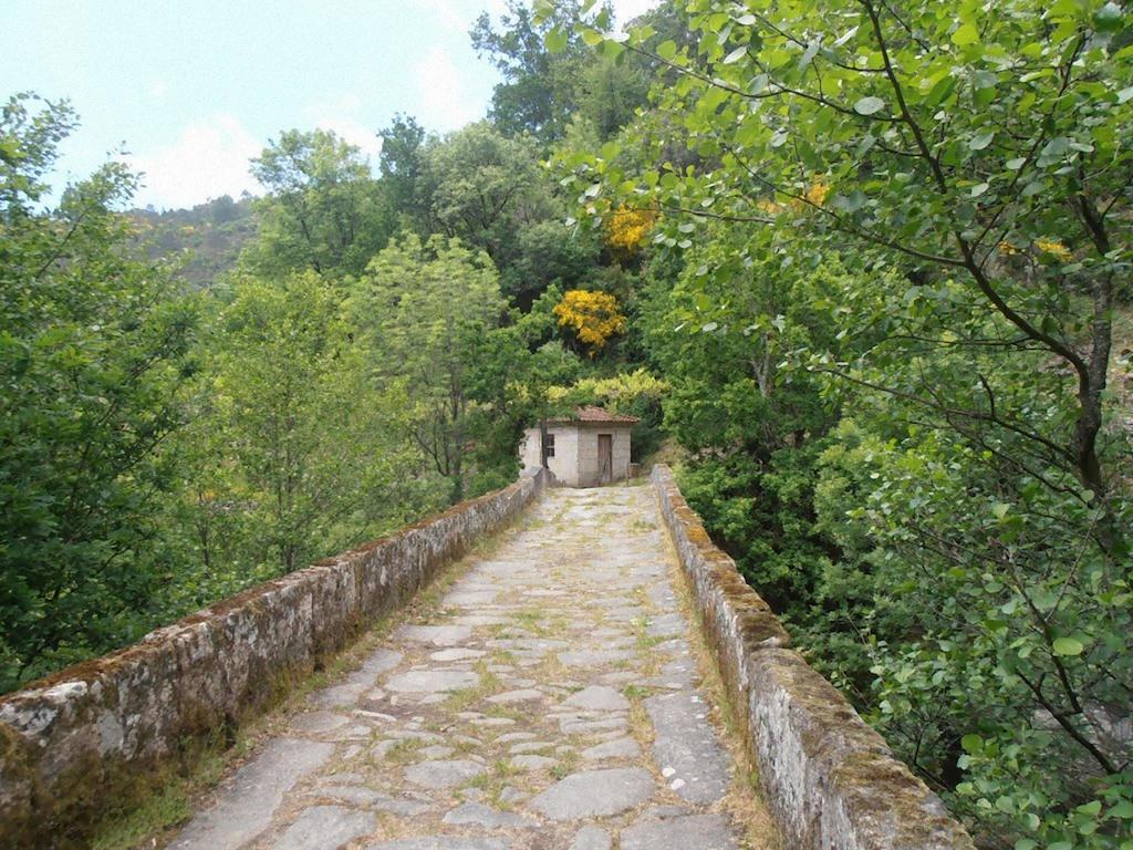 Casa Da Avo Βίλα Arcos de Valdevez Εξωτερικό φωτογραφία