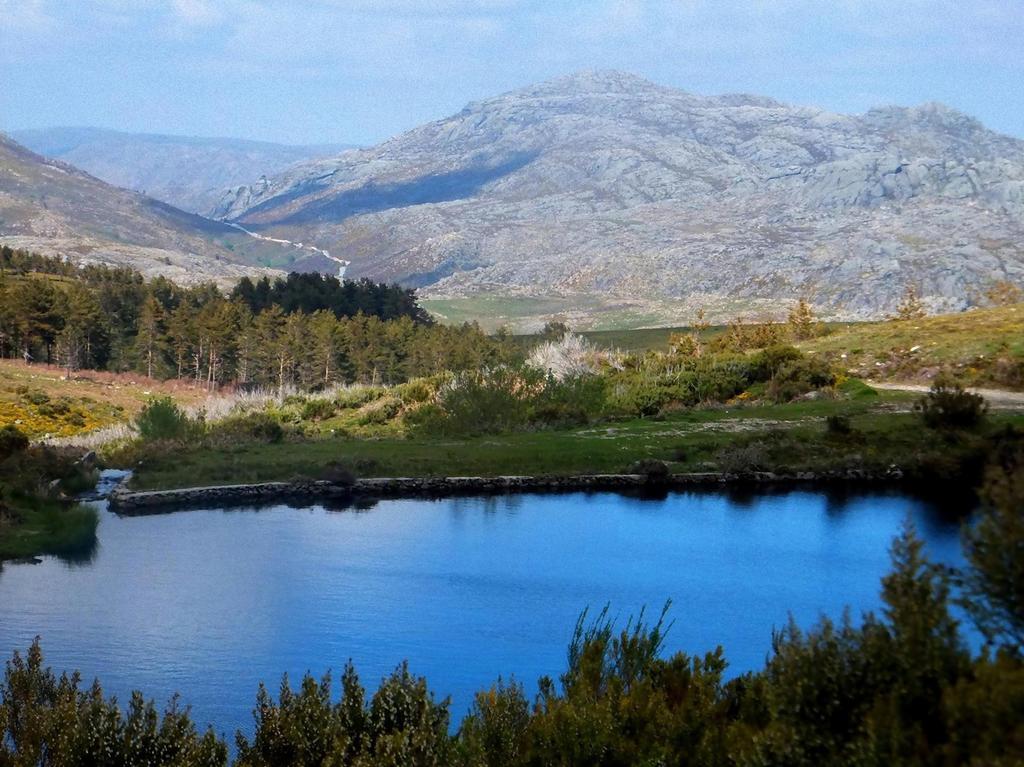 Casa Da Avo Βίλα Arcos de Valdevez Εξωτερικό φωτογραφία